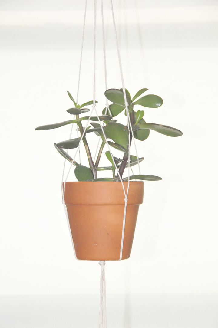 Diy Hanging Plant Holder A Daily Something - Diy Hanging Flower Pot Holder