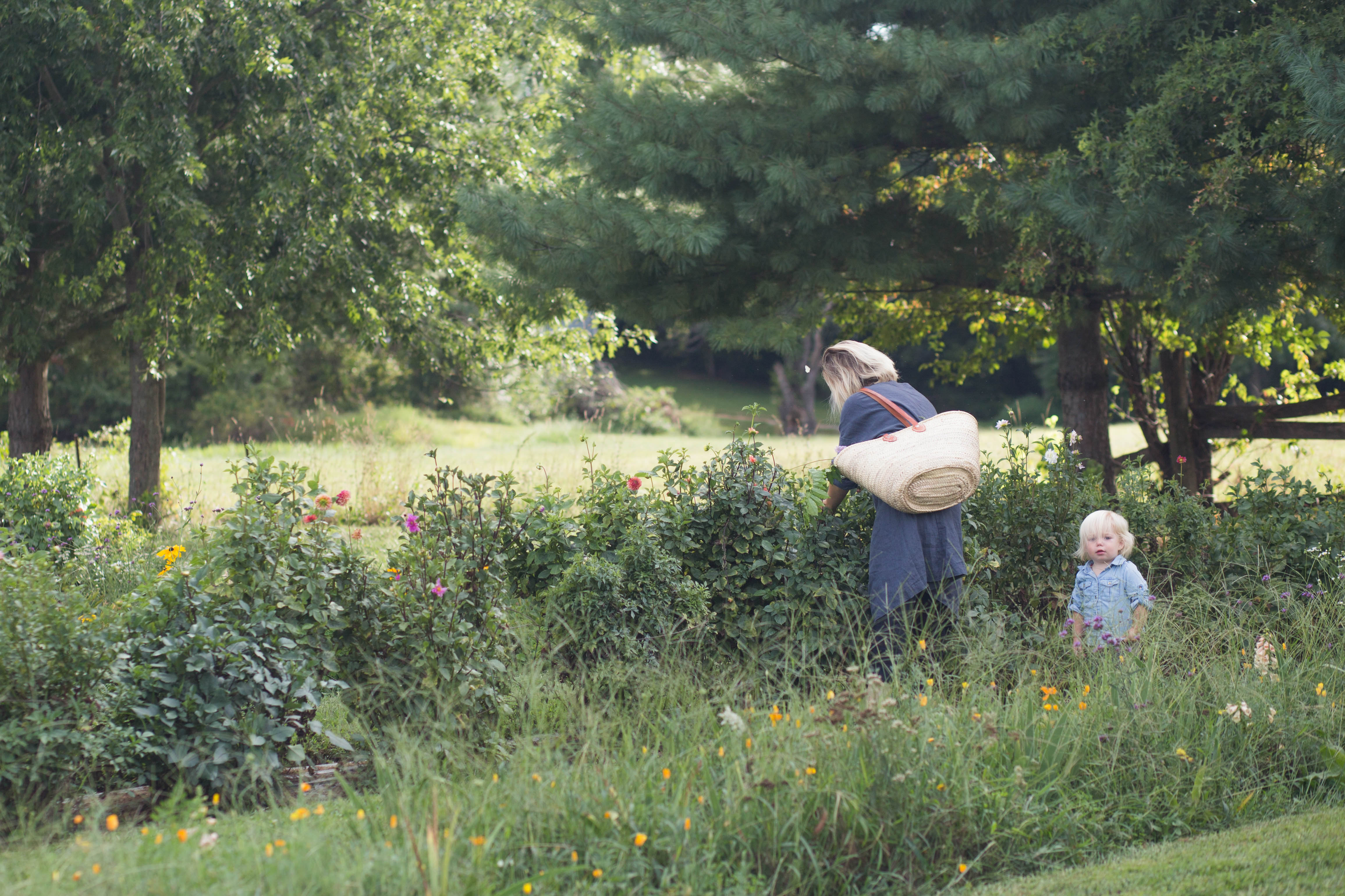 A Daily Something x Superga