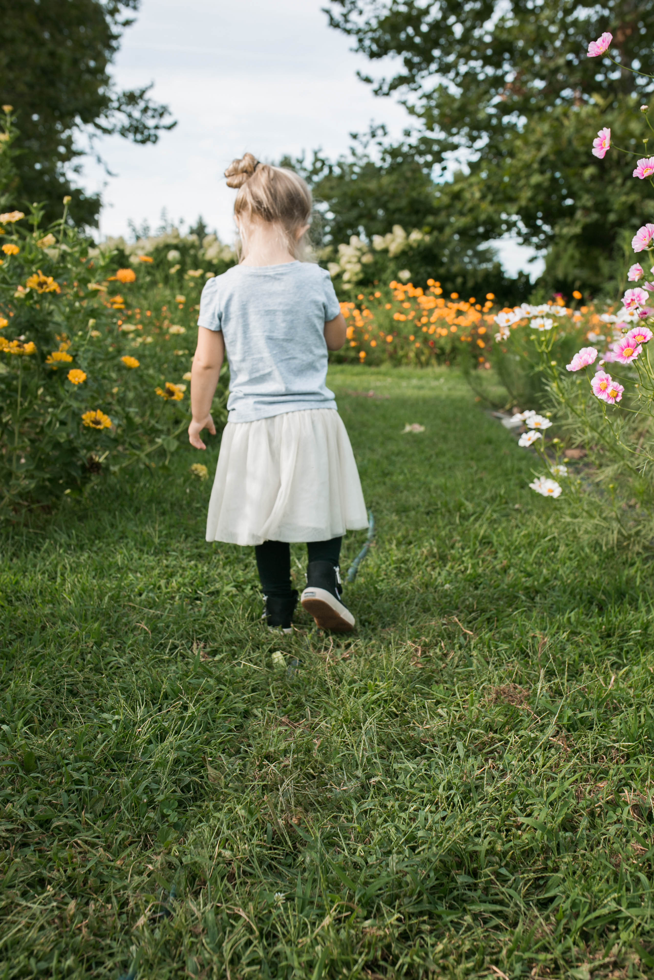 A Daily Something x Superga