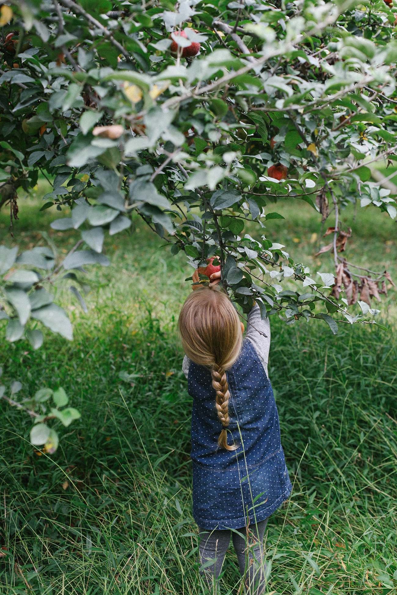 A Daily Something | Life With Littles and Appreciating The Seasons