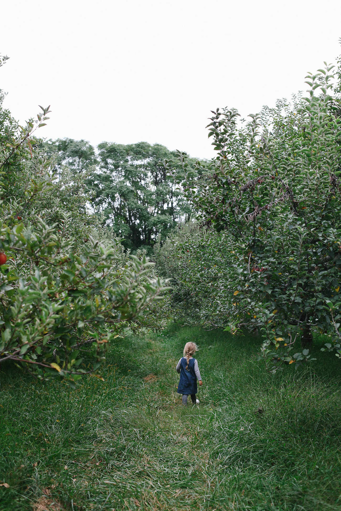 A Daily Something | Life With Littles and Appreciating The Seasons