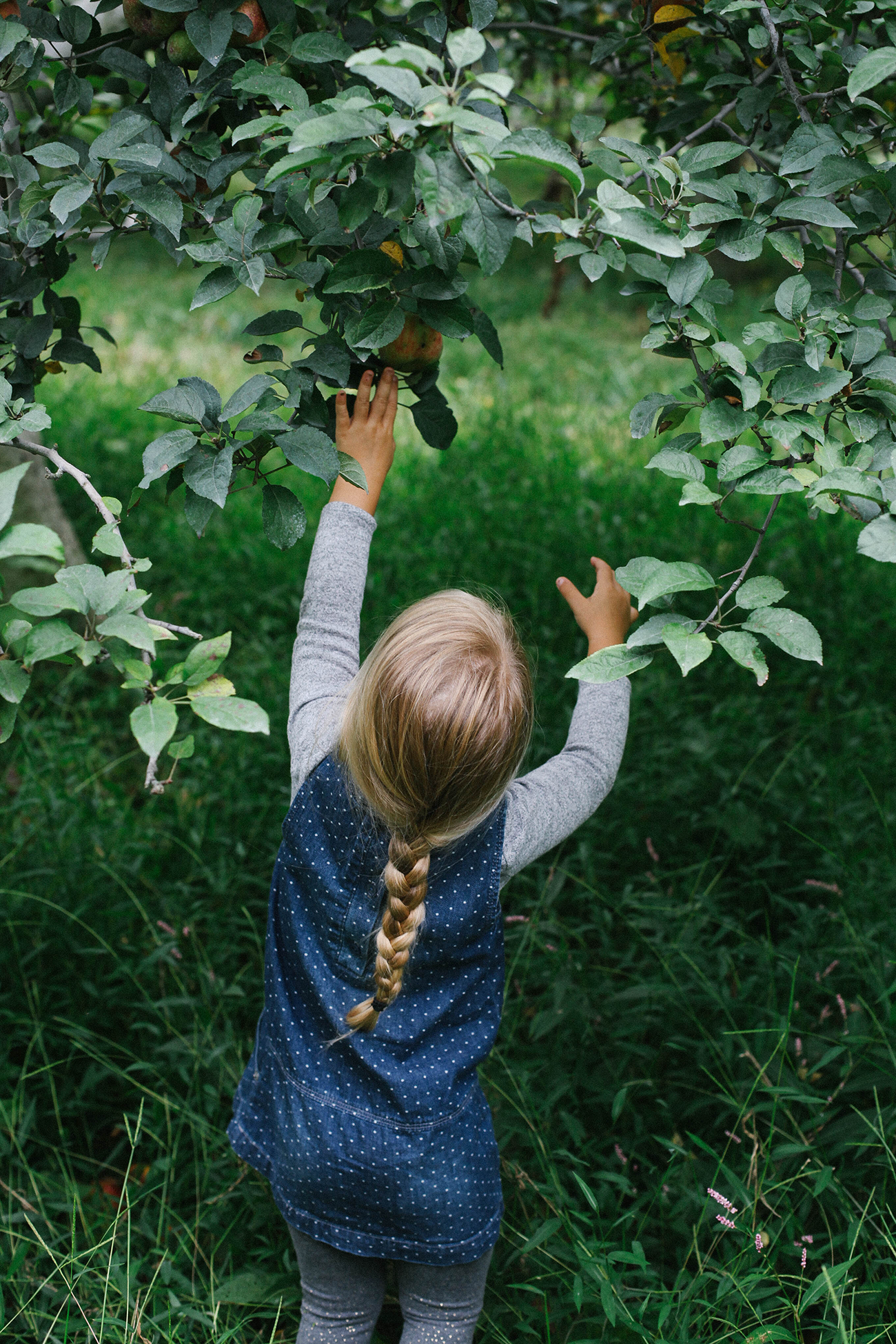 A Daily Something | Life With Littles and Appreciating The Seasons