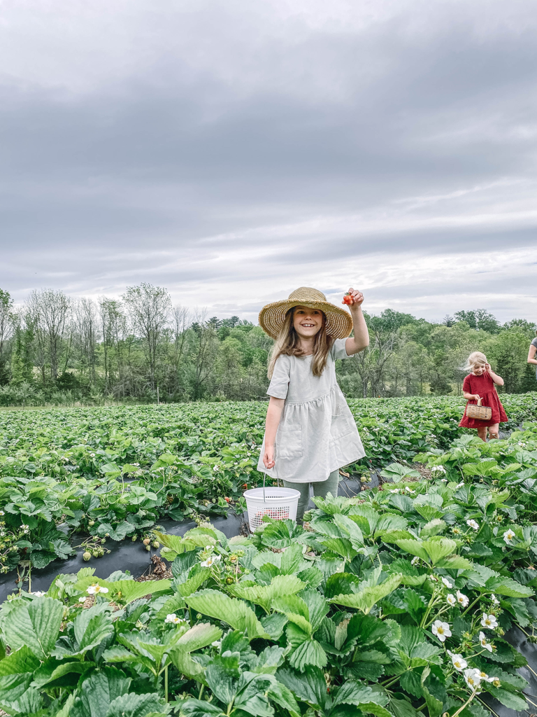 Zoe proudly showing her first ripe strawberry