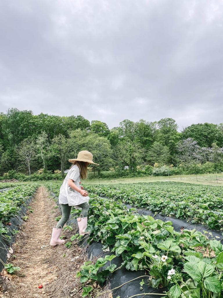 Zoe standing in the strawberry field with a straw hat