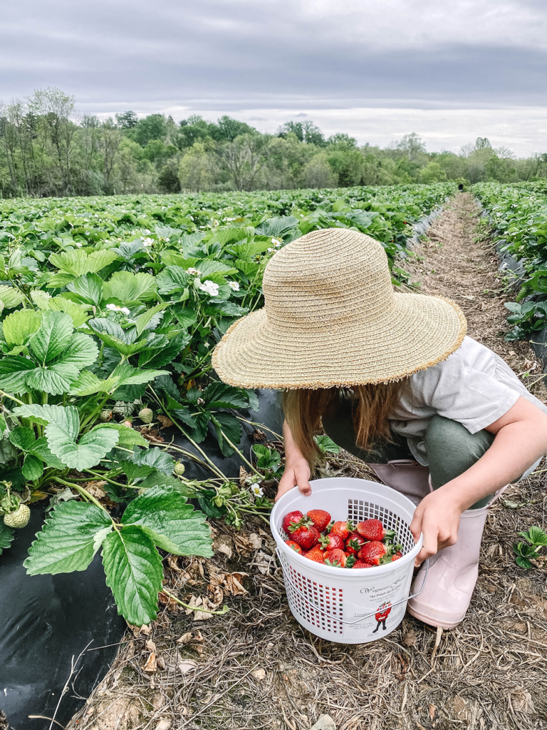 Zoe with a basket full of strawberries